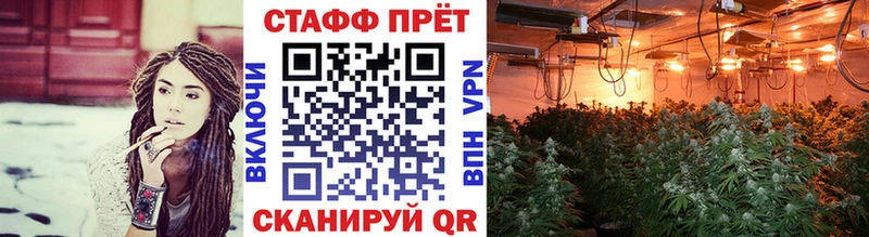  COCAIN Шелехов