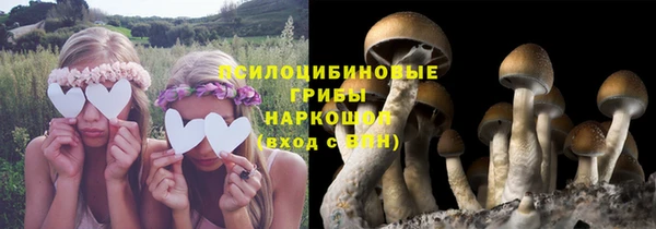 гидра Зеленокумск